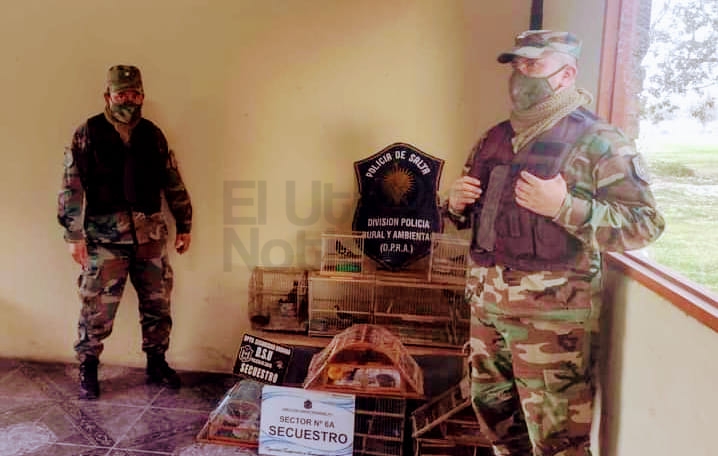 La policía rural liberó 40 aves silvestres a su hábitat natural