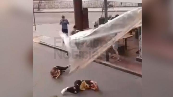 Una ráfaga las tiró a la calle: cómo están las empleadas golpeadas por un toldo
