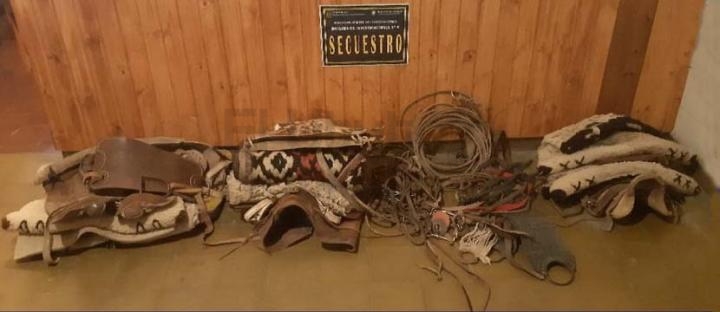 Recuperaron una montura completa y diversos accesorios sustraídos en San Carlos.