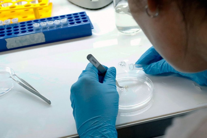 El Ministerio de Salud informó 197 muertes y 11.945 nuevos contagios en el País