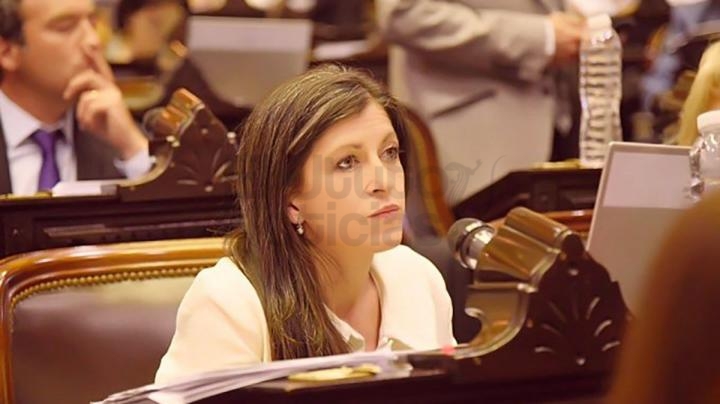 “Quieren convertirnos en Venezuela”, diputados del PRO cuestionaron un proyecto K