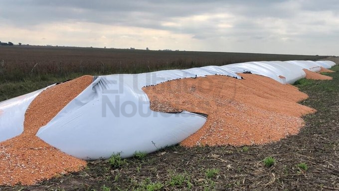 Massa presentó un proyecto para combatir el