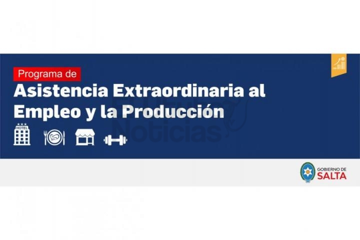 Programa de asistencia extraordinaria al Empleo y la Producción